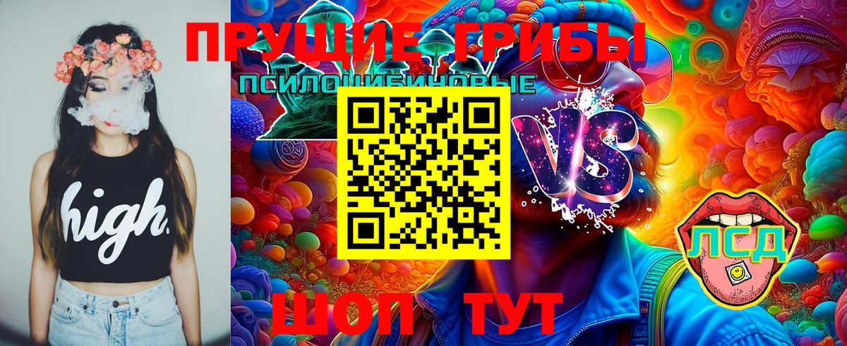 Галлюциногенные грибы Magic Shrooms  Вход с VPN  Галлюциногенные грибы Magic Shrooms  Чусовой 